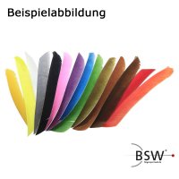 Colores de plumas