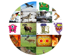 Reposa animales