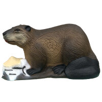 Castor SRT