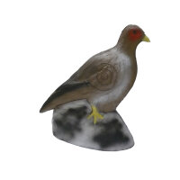 LEITOLD Faisán gallina