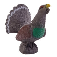 IBB 3D Urogallo
