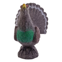 IBB 3D Urogallo