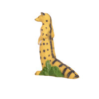 IBB 3D genet - de pie