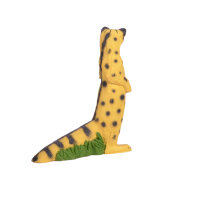 IBB 3D genet - de pie