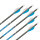 Flecha Completa | CARBON EXPRESS Predator II - Carbono