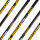 Tubos | GOLD TIP Hunter Pro Black - Carbon - incl. GT Culatin y Accu-Lite Insert