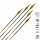Flecha Completa | GOLD TIP Hunter Pro Negro - Carbono