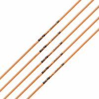 Tubos | GOLD TIP Traditional - Carbon - incl. GT Culatin...