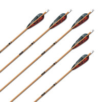 Flecha Completa | GOLD TIP Tradicional - Carbono