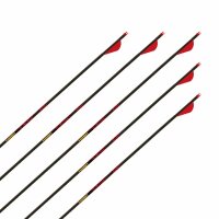 Flecha Completa | GOLD TIP Velocity - Carbono