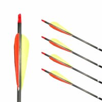Flecha Completa GOLD TIP Ultralight Pro - Carbono