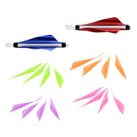 Paletas XS WINGS Medianas - Paquete de 50