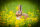 CENTER-POINT Conejo 3D - Made in Germany