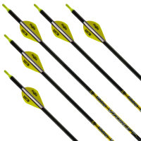 Flecha Completa | VICTORY ARCHERY VForce 245 - Elite -...