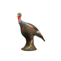pavo LONGLIFE