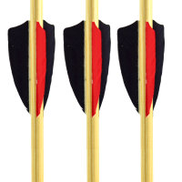 3 Zoll - 3-er Befiederung