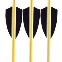 3 Zoll - 2-er Befiederung