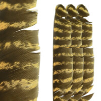 SPHERE Plumas de pavo rayadas naturales - Osage