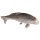 Carpa ELEVEN Target 3D