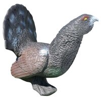 ELEVEN Target 3D urogallo negro