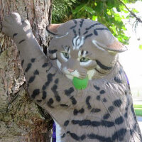 NATURFOAM wildcat - escalada