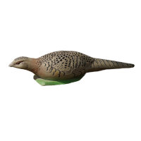 NATURFOAM fais&aacute;n gallina - tumbado