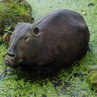 NATURFOAM Beaver - comer