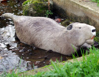 NATURFOAM Beaver - flotante