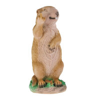 TC Targets - Marmota descarada