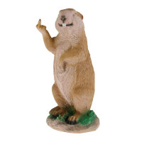 TC Targets - Marmota descarada