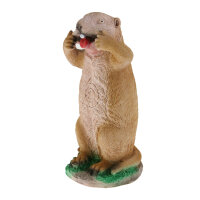 Objetivos TC - Crazy Mike - Marmot