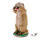 Objetivos TC - Crazy Mike - Marmot