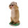 Objetivos TC - Crazy Mike - Marmot