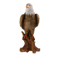 Objetivos TC - Adler Horst