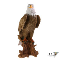 Objetivos TC - Adler Horst