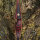 JACKALOPE - Red Beryl - 64 pulgadas - Arco híbrido - 25-50 lbs
