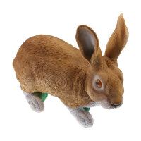 TC Targets - Rudi Hase