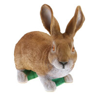 TC Targets - Rudi Hase