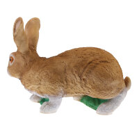 TC Targets - Rudi Hase