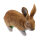 TC Targets - Rudi Hase