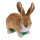 TC Targets - Rudi Hase