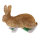 TC Targets - Rudi Hase