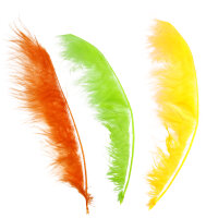 SPHERE Trazador de flechas / Puntero de plumas - 12 piezas