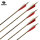 Flecha Completa BEARPAW Penthalon Traditional Extreme - Carbono