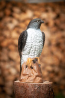 CENTER-POINT 3D Falcon - Fabricado en Alemania