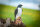 CENTER-POINT 3D Falcon - Fabricado en Alemania