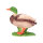 IBB 3D drake - en curso