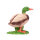 IBB 3D drake - en curso