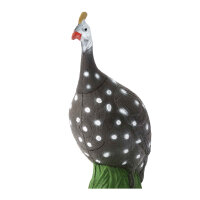 IBB 3D pintada