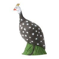 IBB 3D pintada